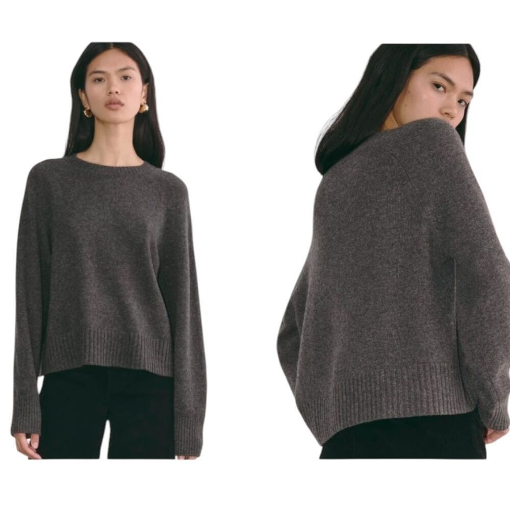 NWT Everlane The Boxy Crew in Cashmere Heather Charcoal Grey Soft Pullover XXS